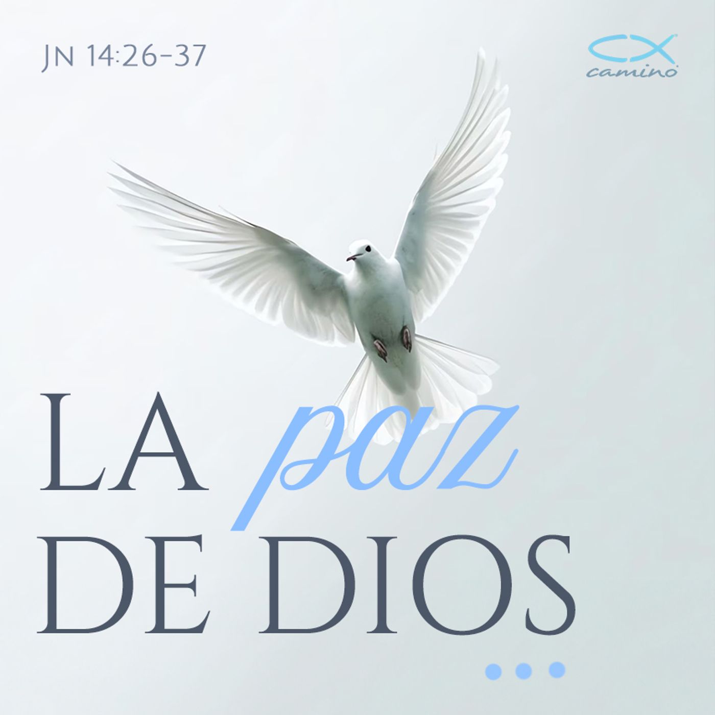Oración 15 de abril (La paz de Dios) episode artwork