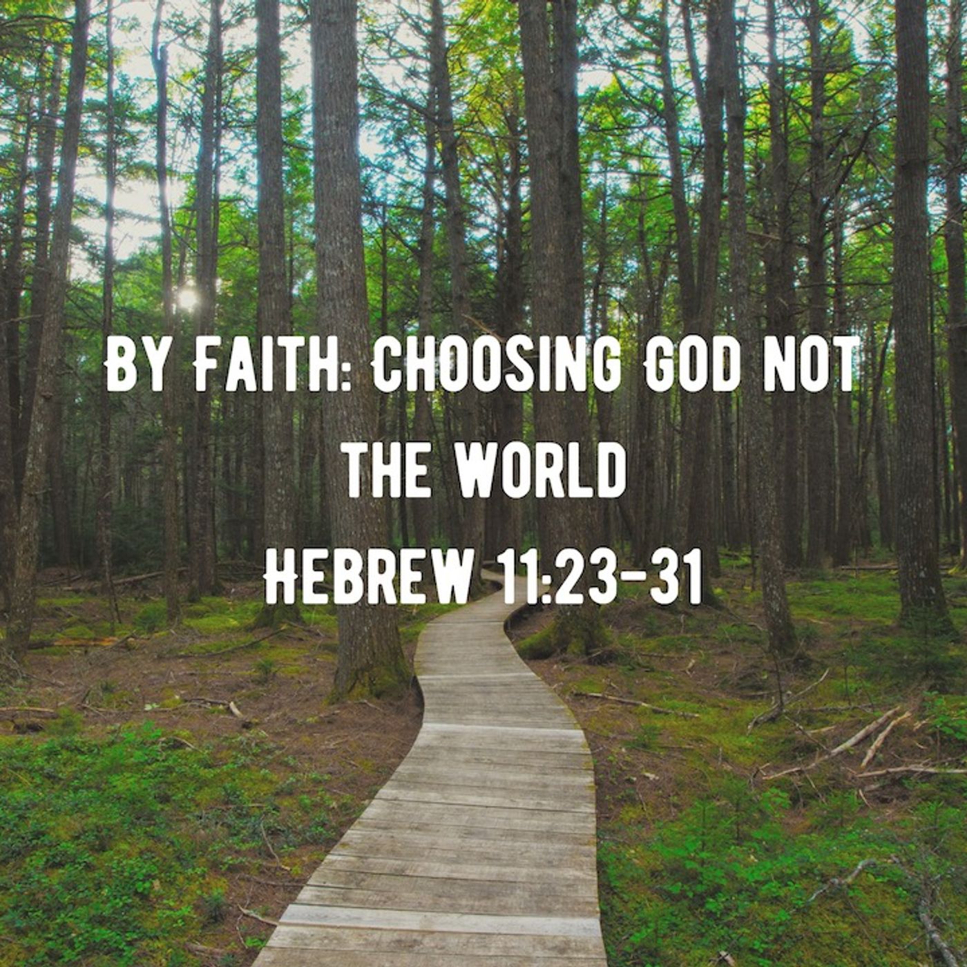 By Faith: Choosing God not the World