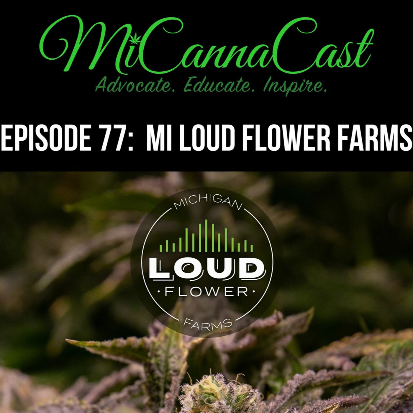 MiCannaCast