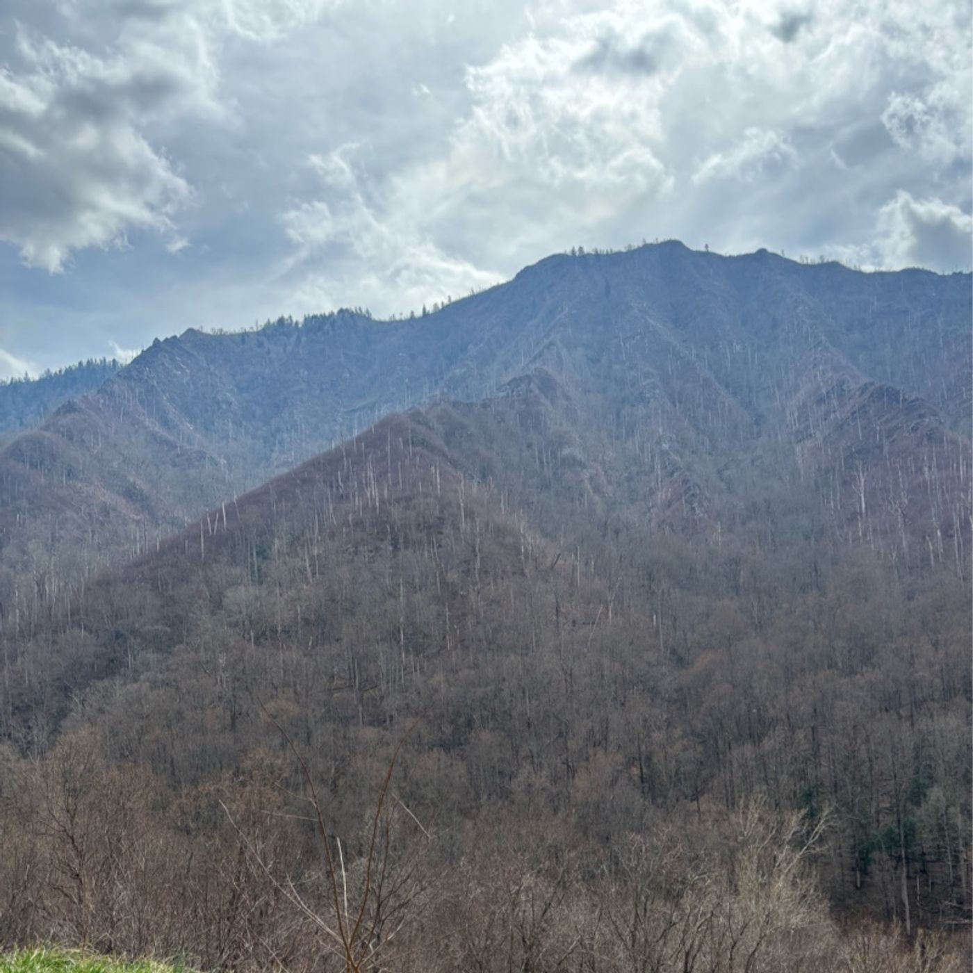 Matthew Davis. podcast