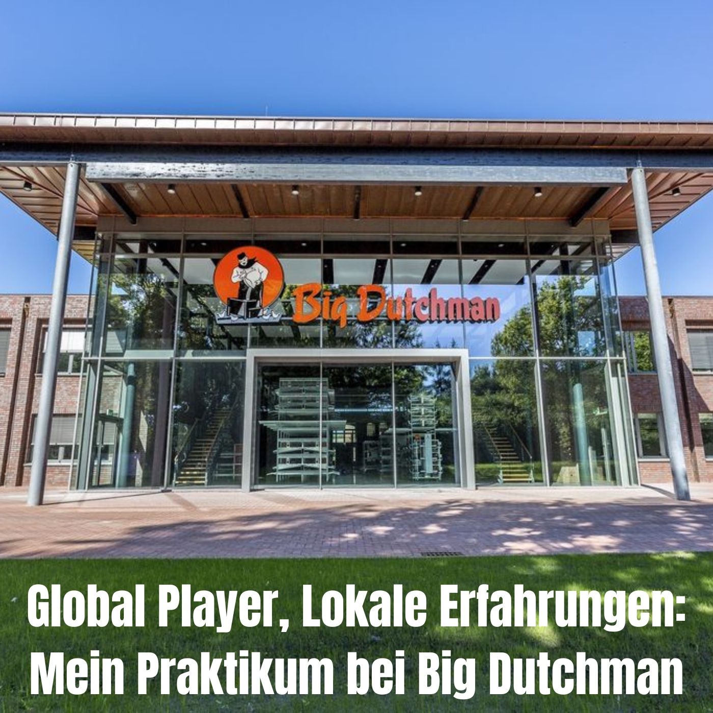 Global Player, Lokale Erfahrungen, Elias podcast artwork