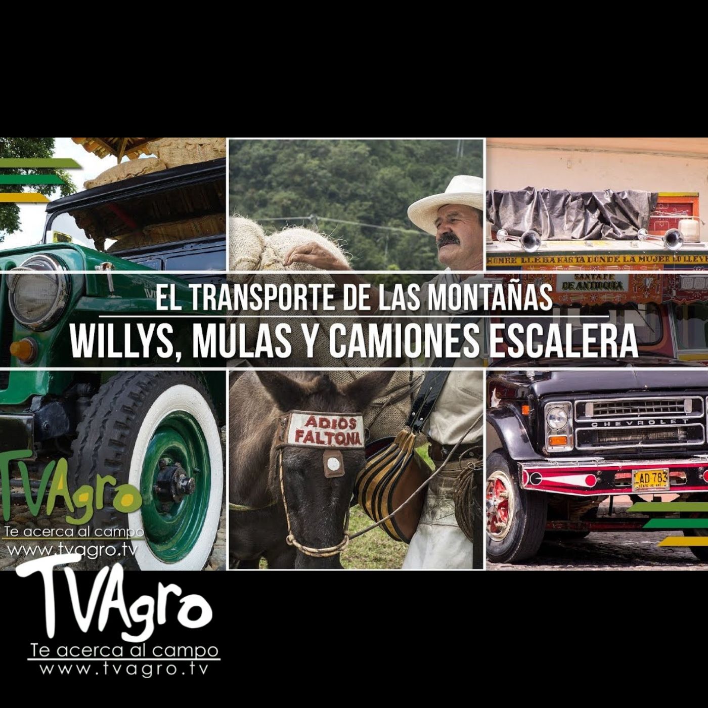 TV AGRO