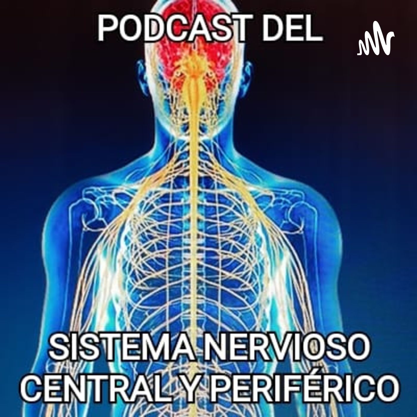 Sistema Nervioso podcast artwork