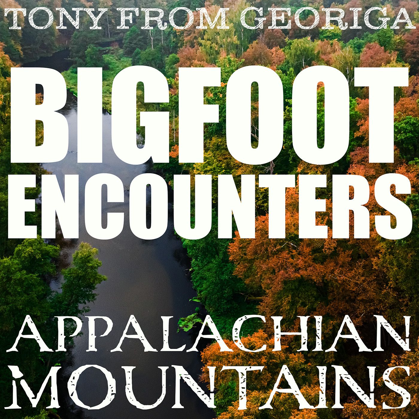 SASQUATCH THEORY