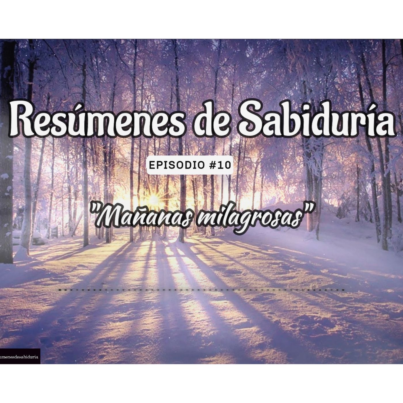 Resumenes de Sabiduria