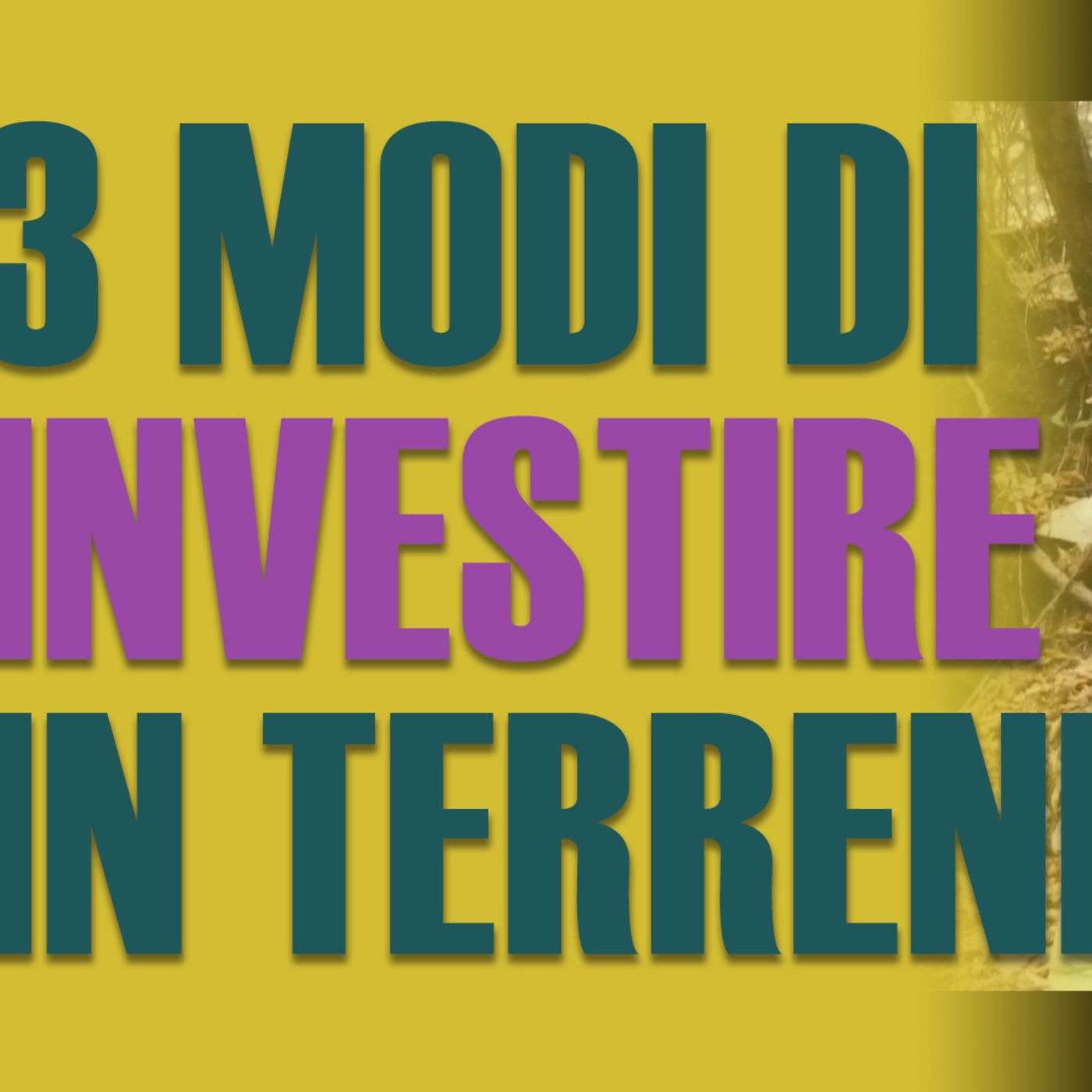 3 modi di INVESTIRE in terreni