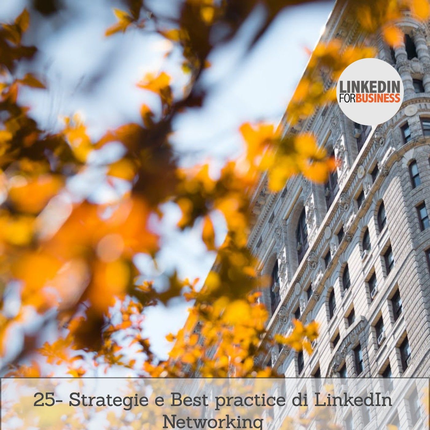 25-strategie-social-business-networking episode artwork