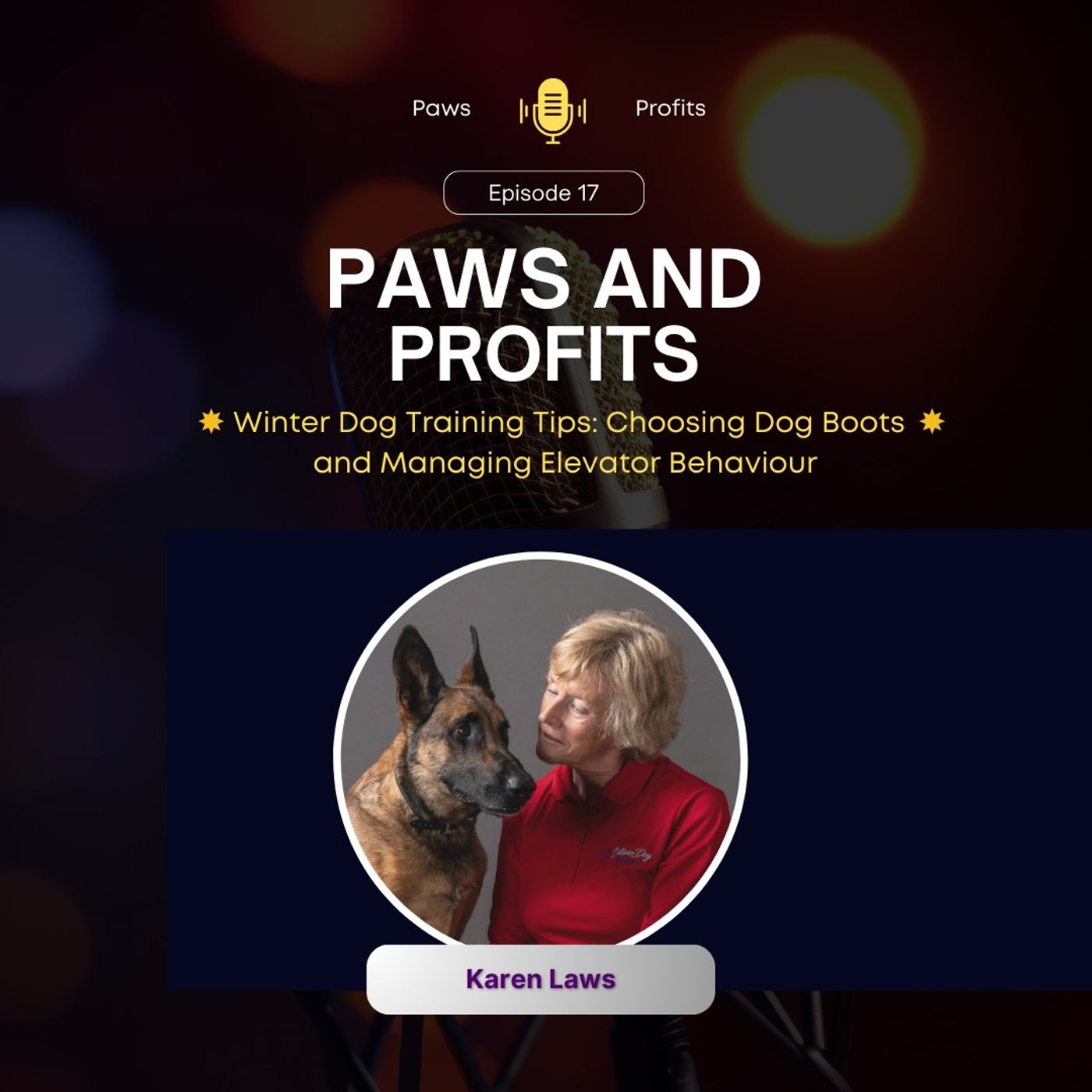 Winter Dog Training Tips: Choosing Dog Boots and Managing Elevator Behaviour