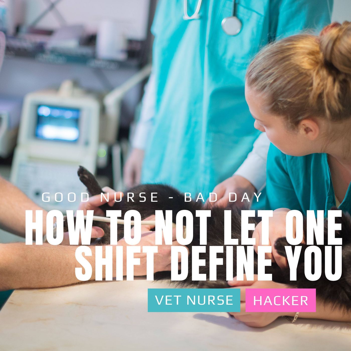 The Vet Nurse Hacker Podcast