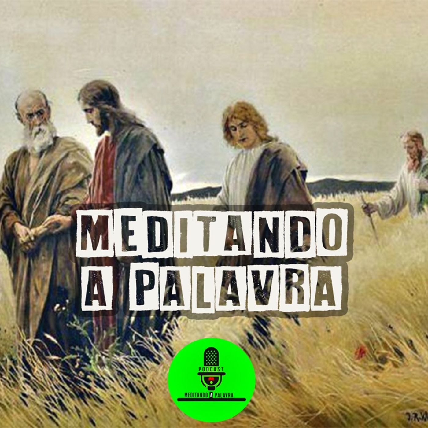 Meditando a Palavra
