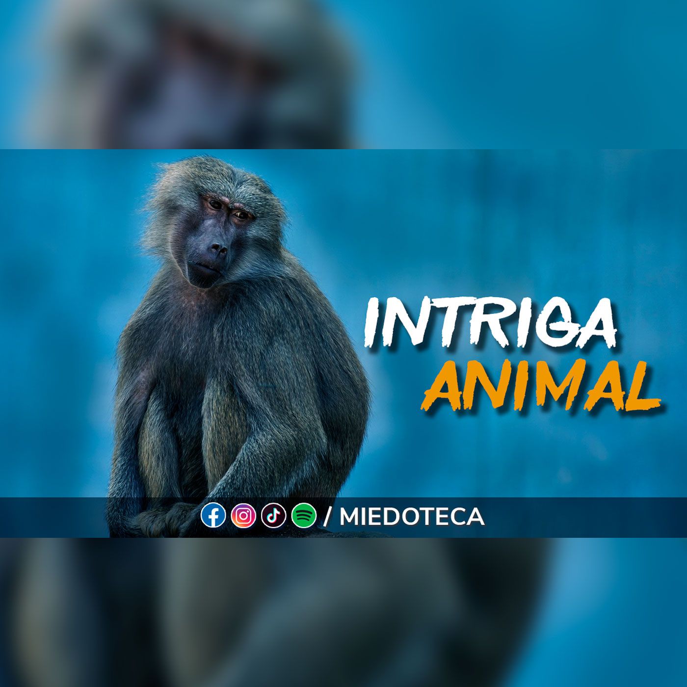 La Miedoteca