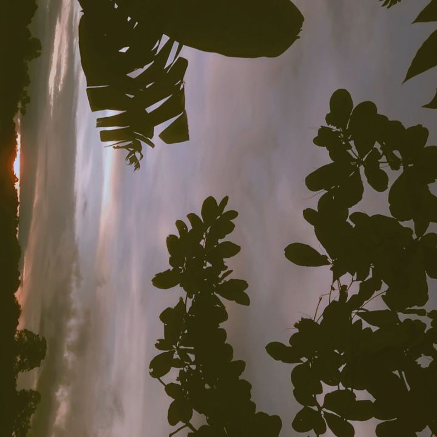 AUDIO