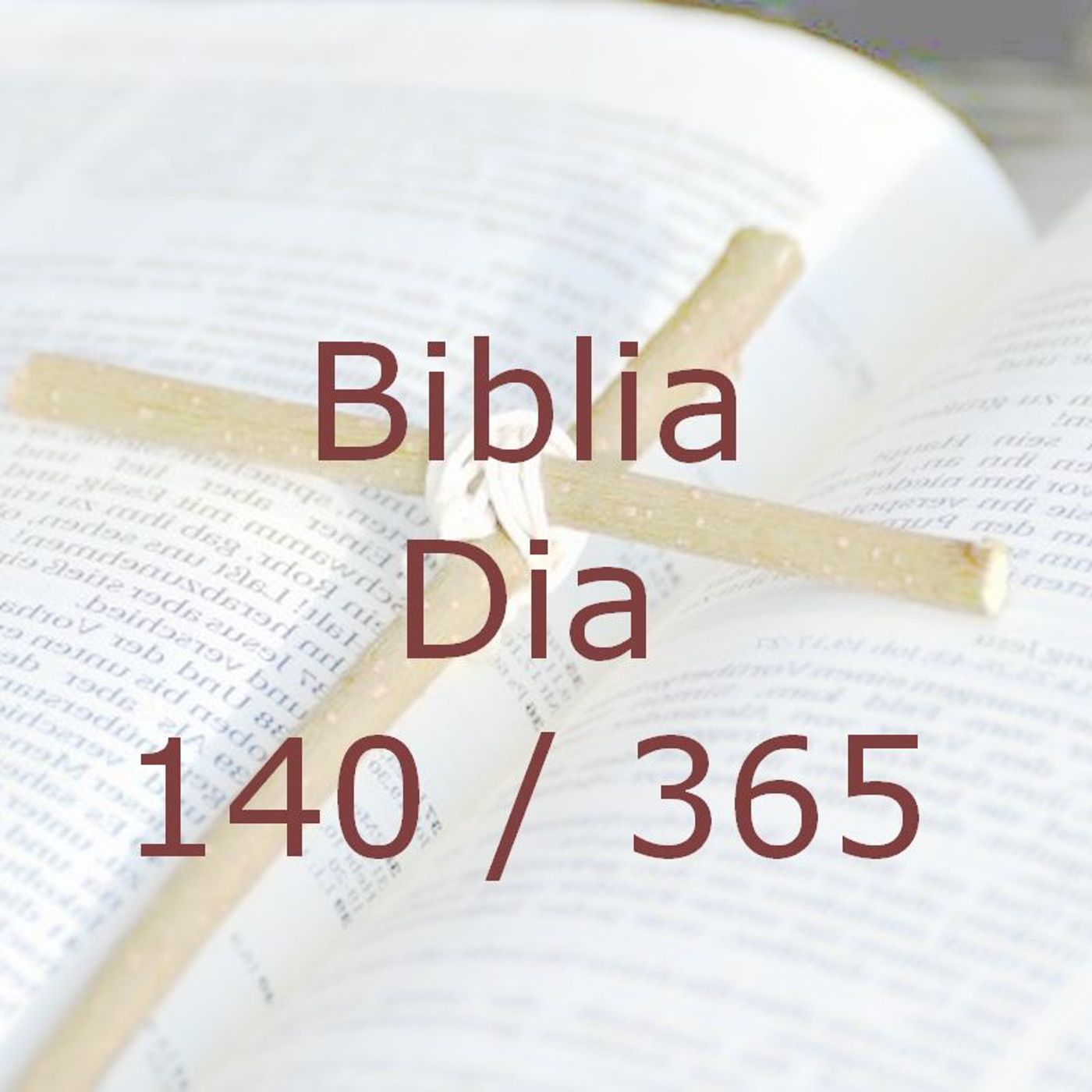La Biblia en 365 dias