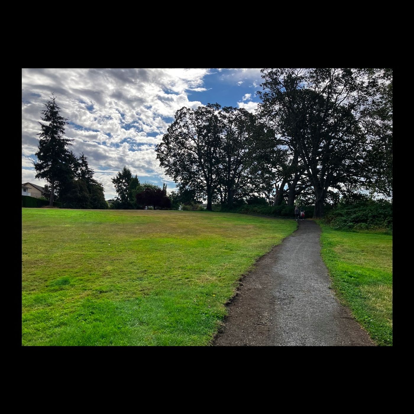 Loops @ Lambrick Park episode artwork