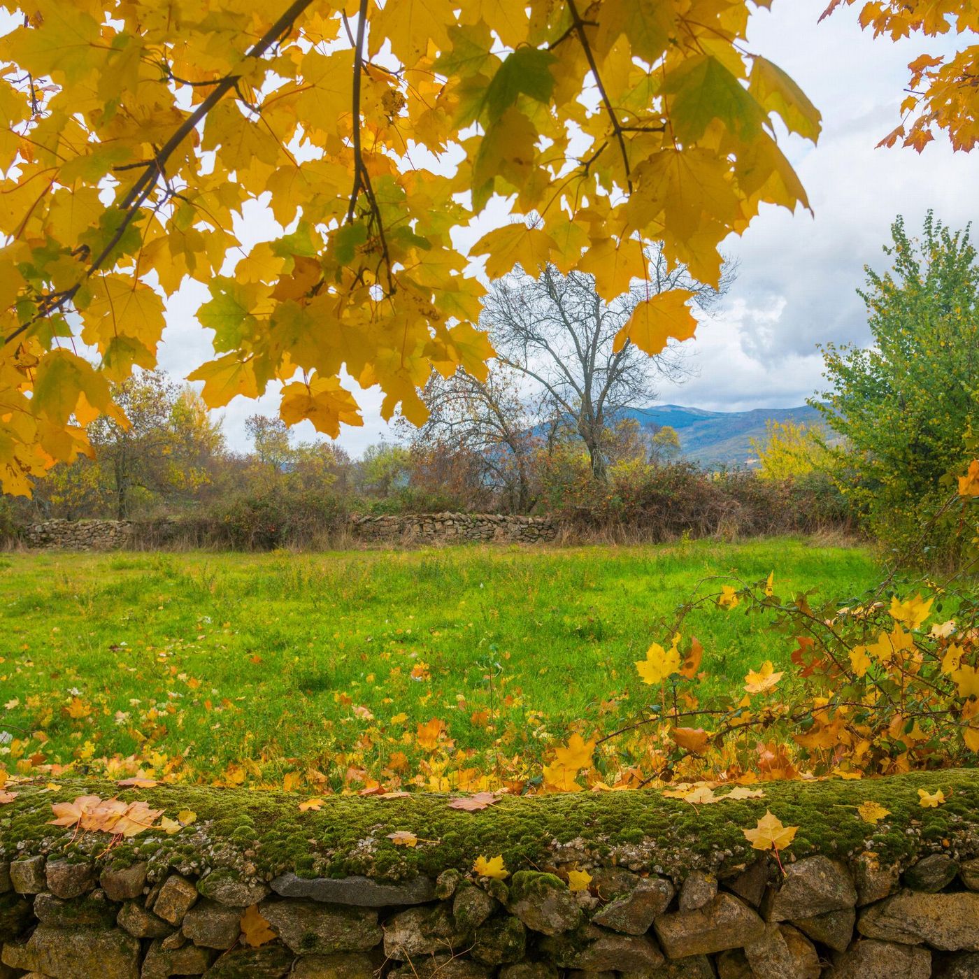 La Sierra del Rincón, un secreto que inesperado en Madrid y Ginebra, la ciudad que es mucho más que bancos episode artwork