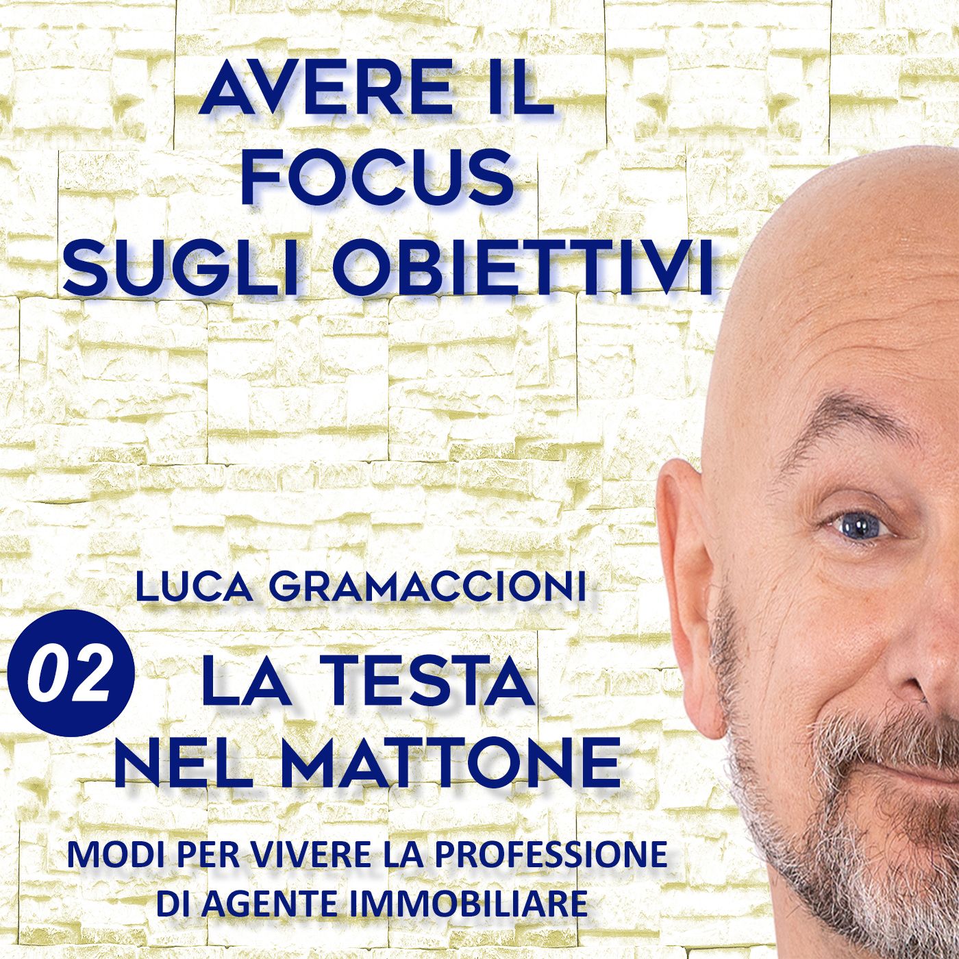 LA TESTA NEL MATTONE