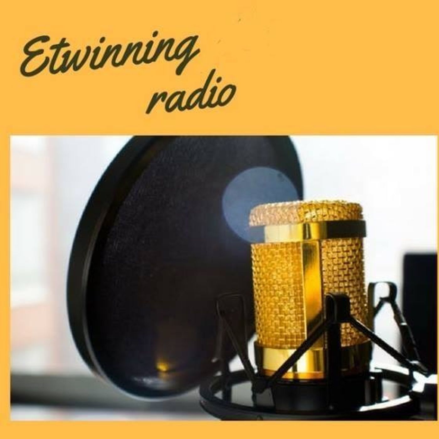 Etwinng radio