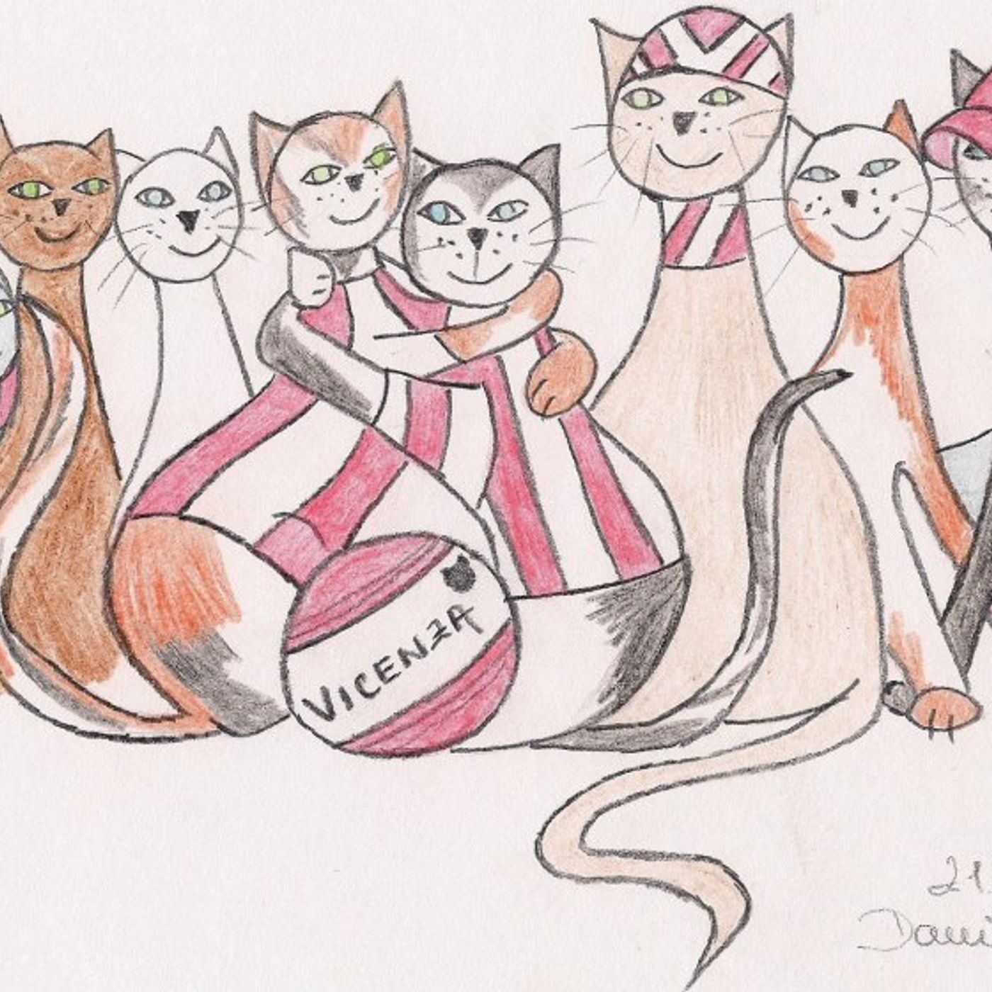 Miao Bike Vicenza podcast artwork