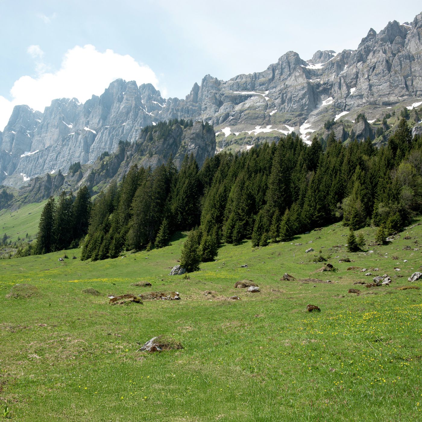 Meditaciones Diarias