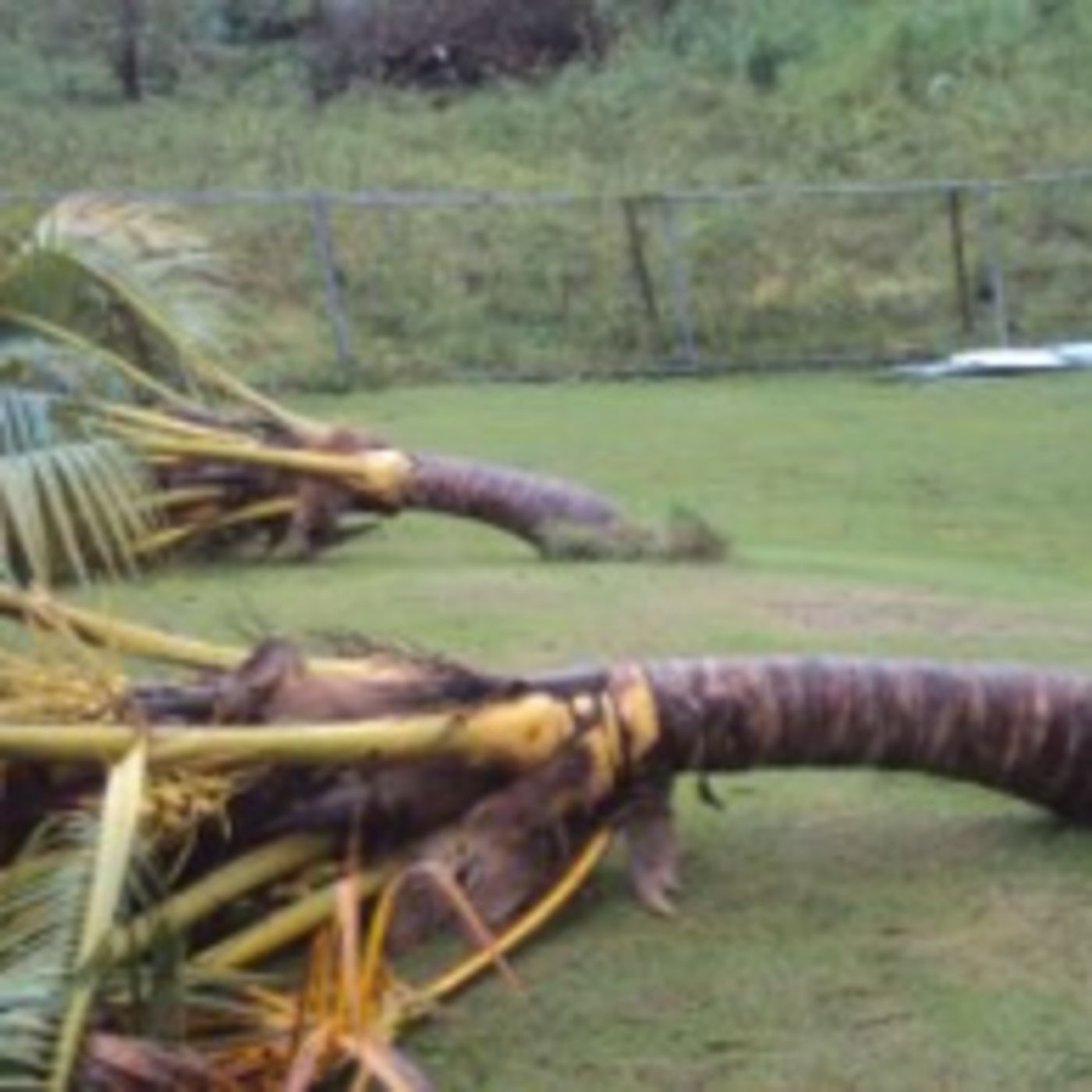 Learning English Faster .com