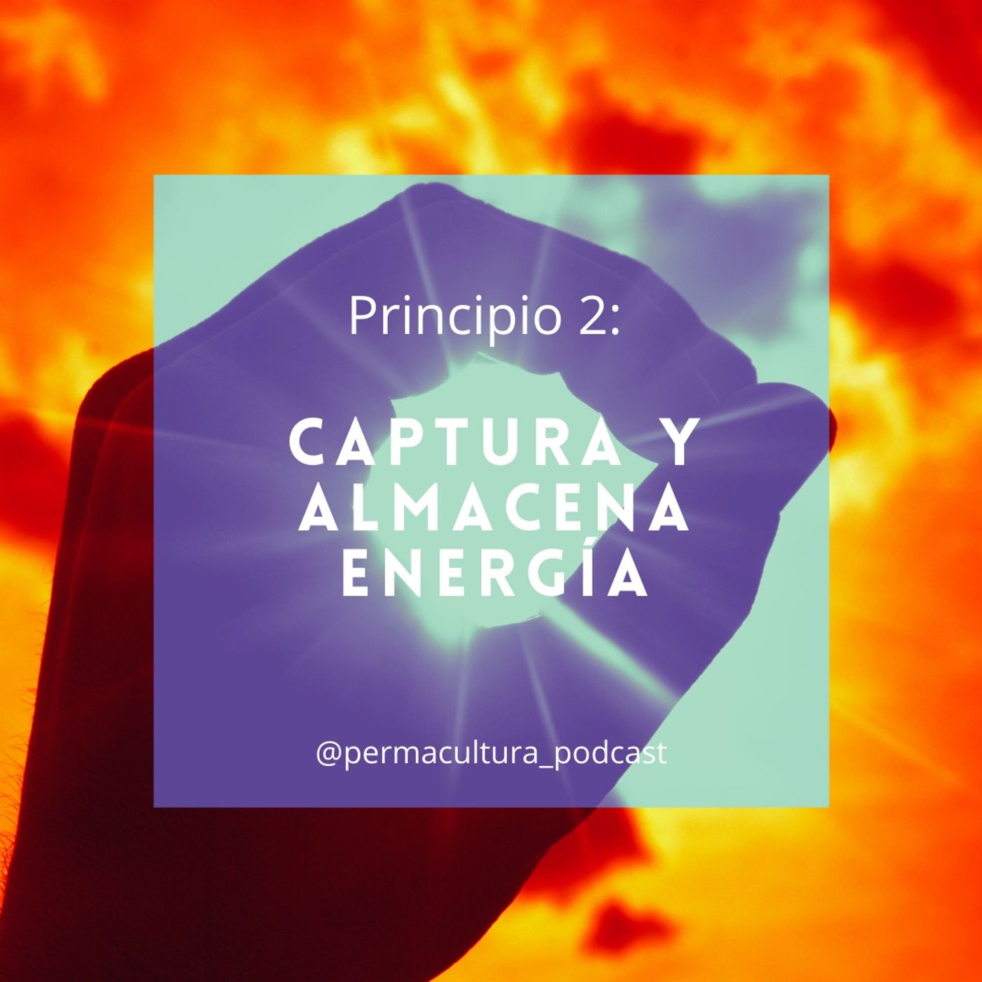 T1E07 - Principio 2  Captura y almacena energía