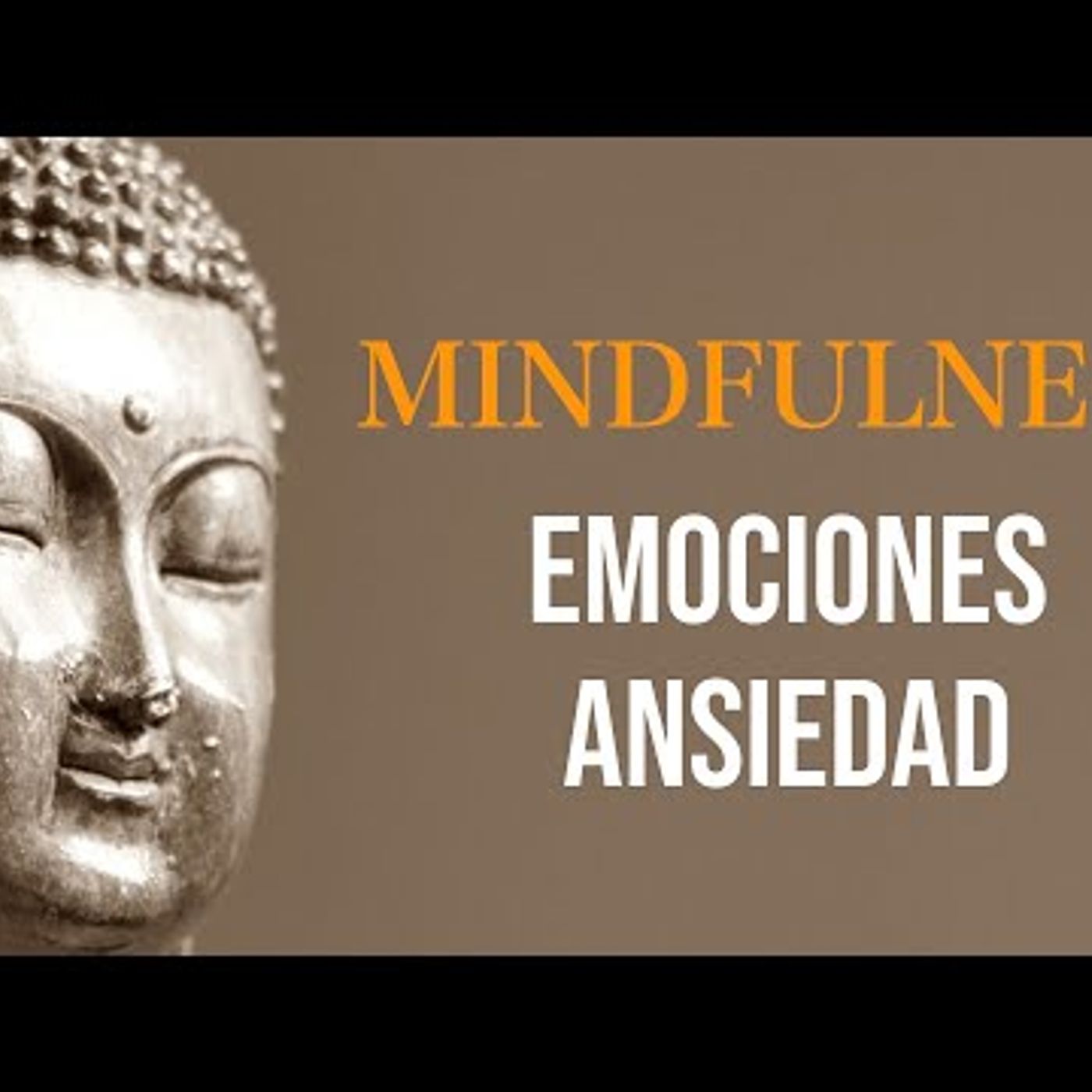 138. Meditación Guiada para Gestionar las Emociones y la Ansiedad