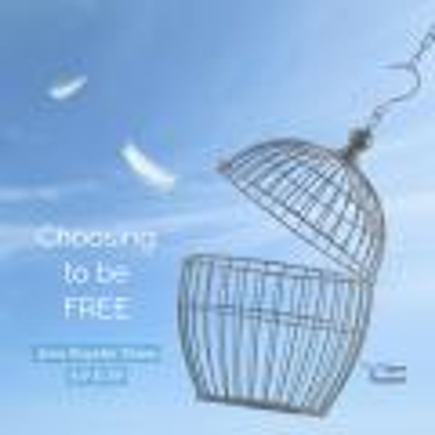 Angel Guidance: Choosing to Be Free