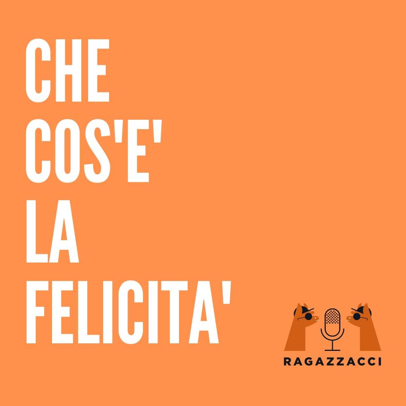 RAGAZZACCI