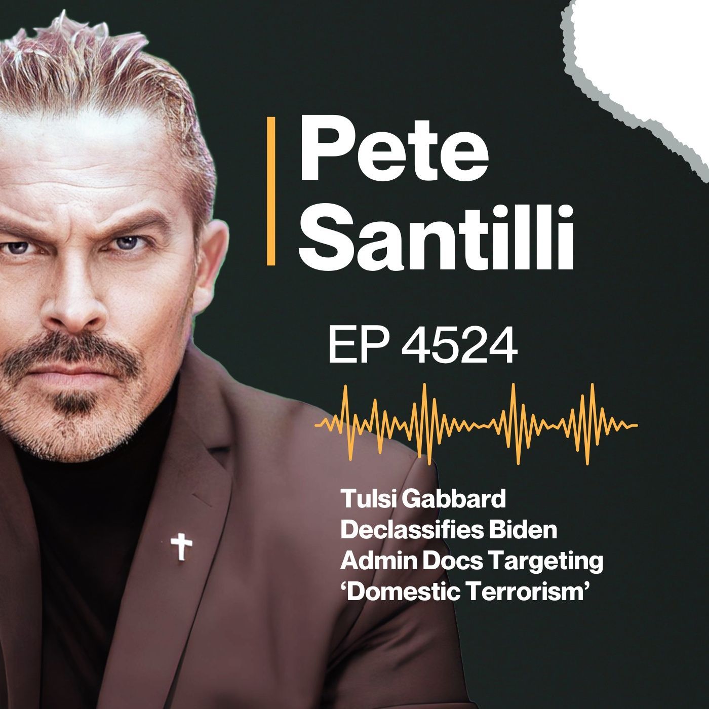 Tulsi Gabbard Declassifies Biden Admin Docs Targeting ‘Domestic Terrorism’[EP 4524-8AM-HR 1] episode artwork