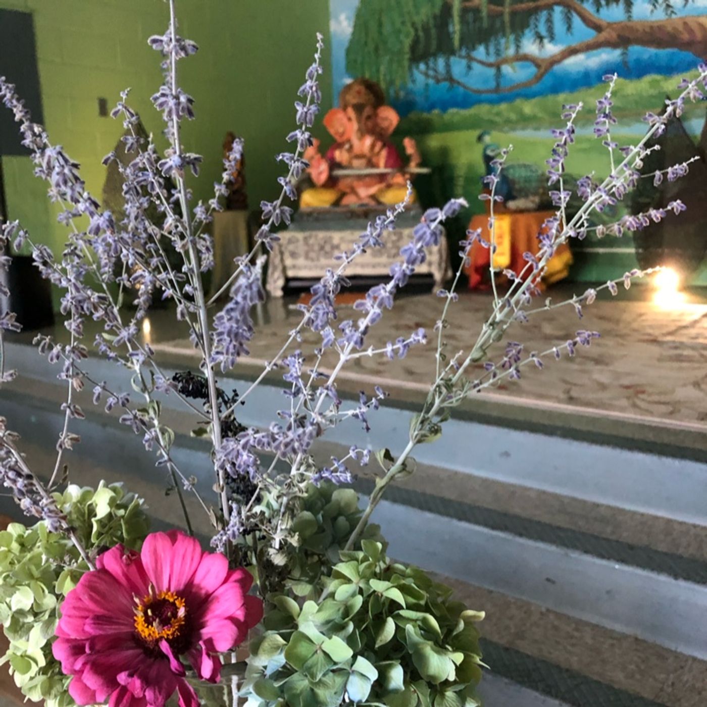 Contentment and Personal Work. A Wisdom Circle with Sudha Mataji 8/11/19 episode artwork