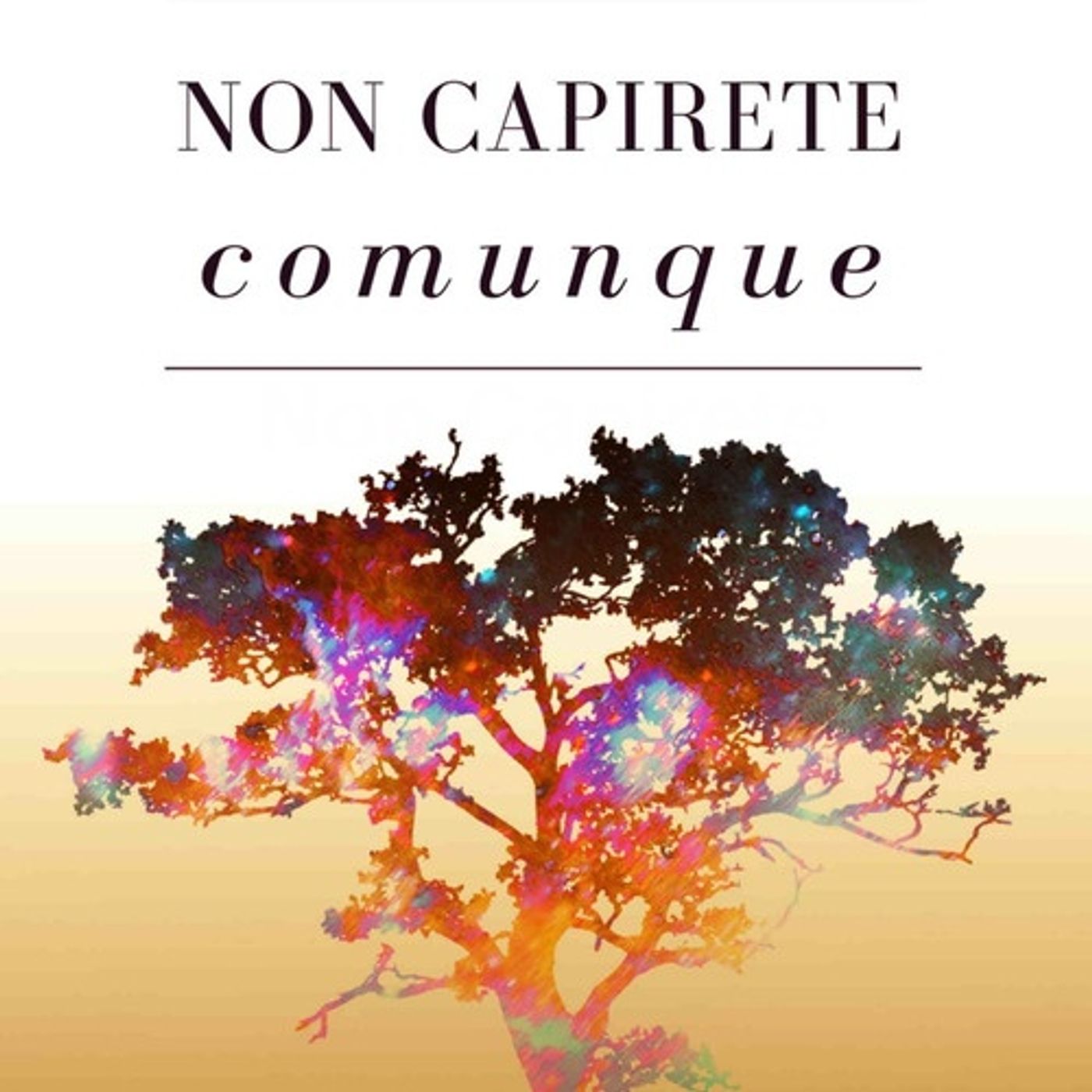 Non Capirete Comunque