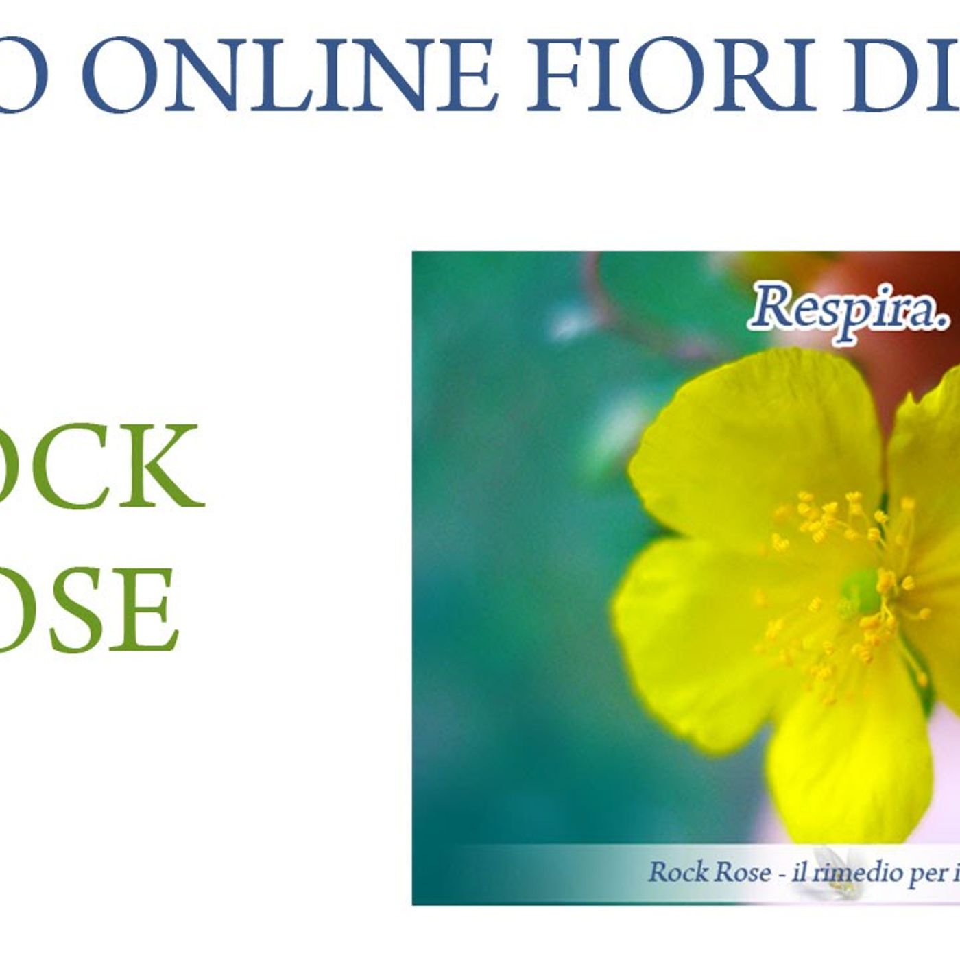Fiori di Bach in pillole