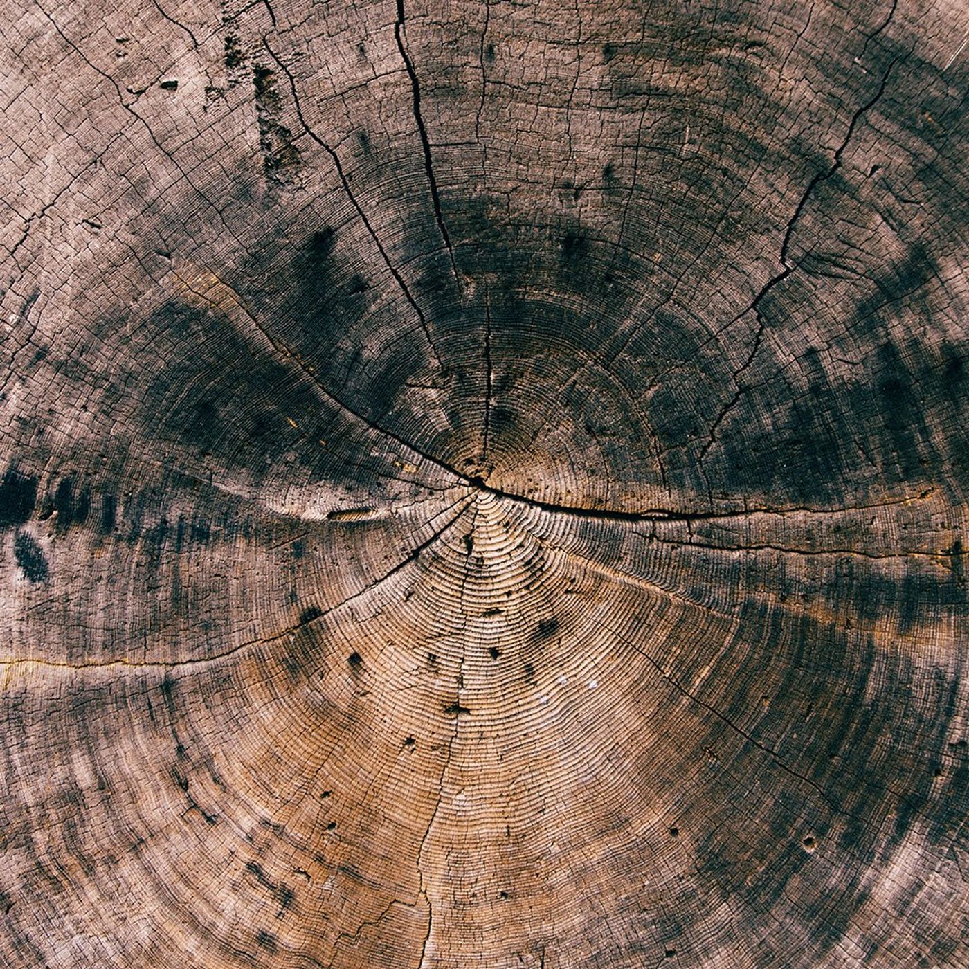 The Hour Of Sifting episode artwork