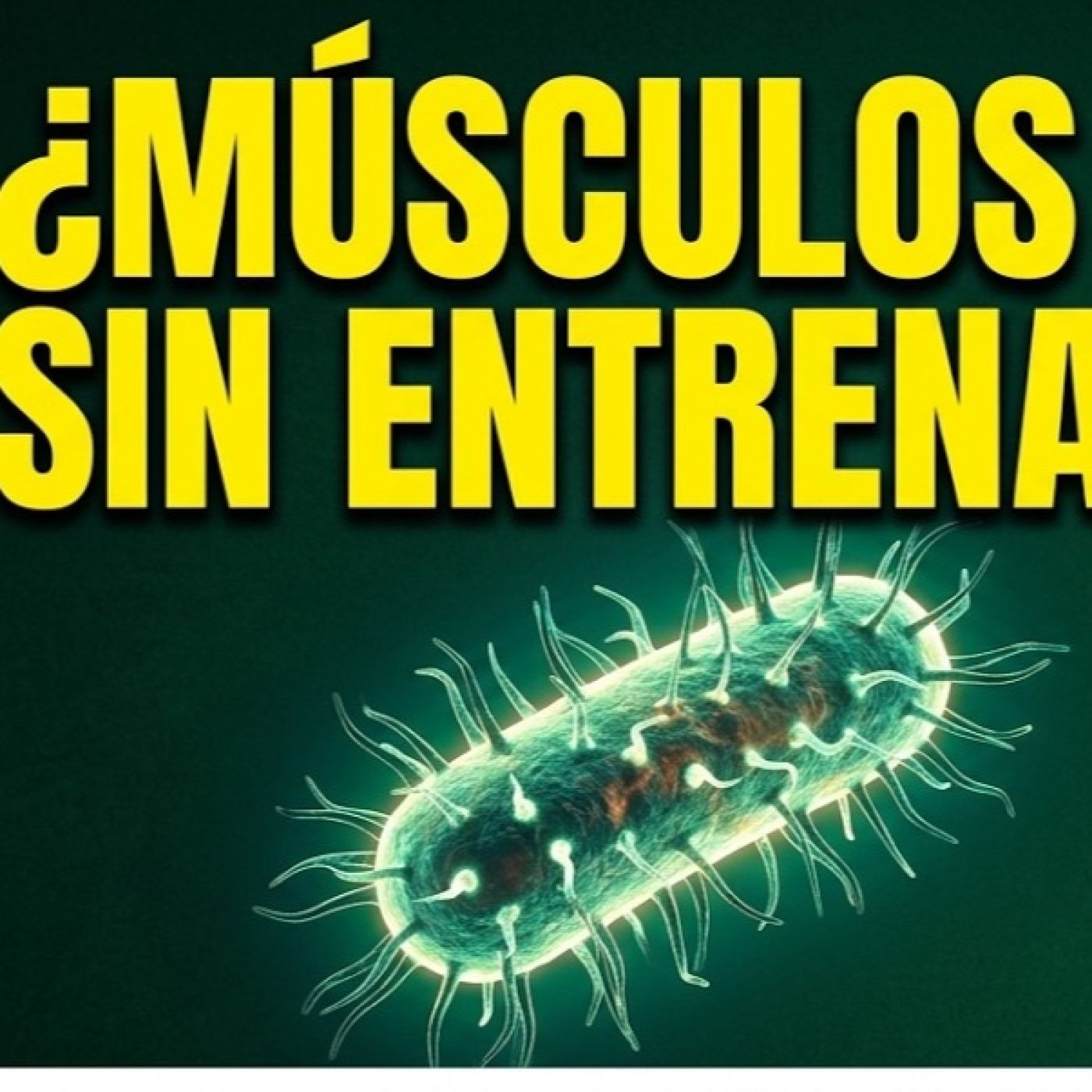 326. ¿Músculos sin entrenar? El poder una BACTERIA REVOLUCIONARIA episode artwork
