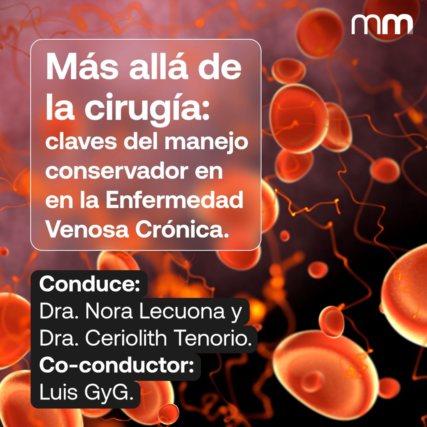 Guía de manejo conservador en EVC: criterios clínicos y desafíos
