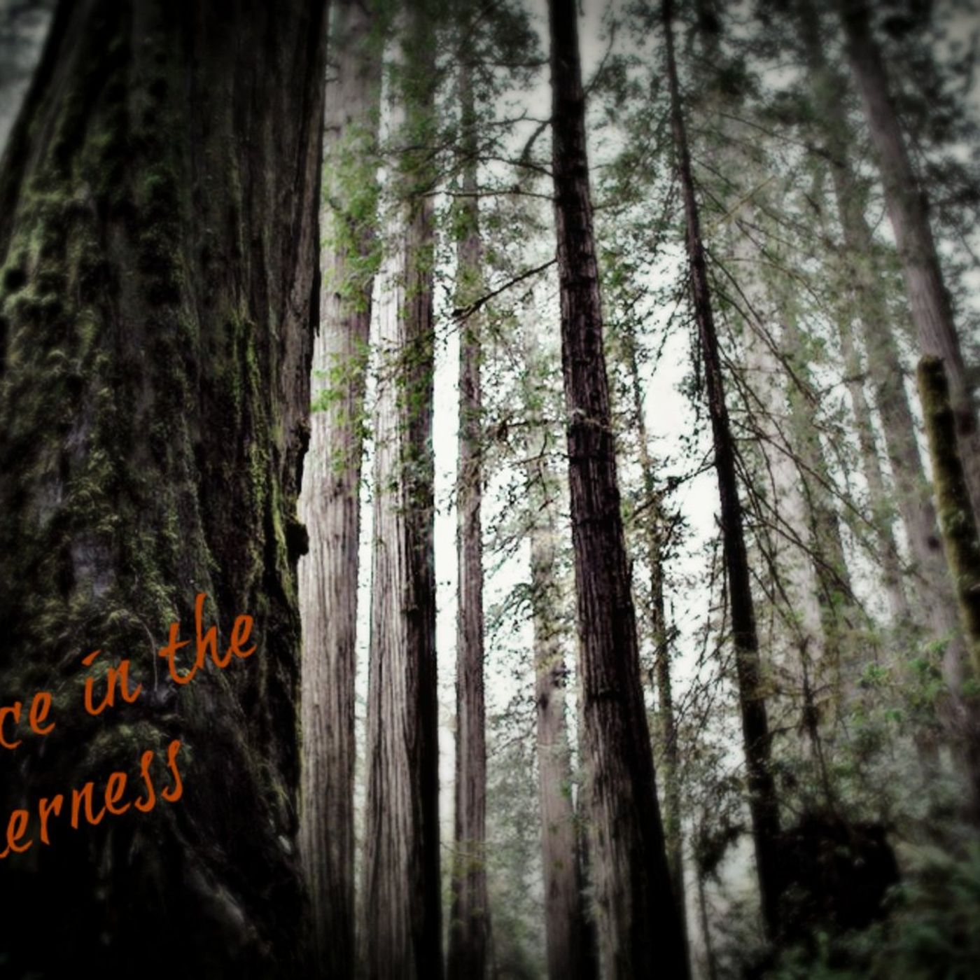 Episode 019 "Ye Must Be Born Again"