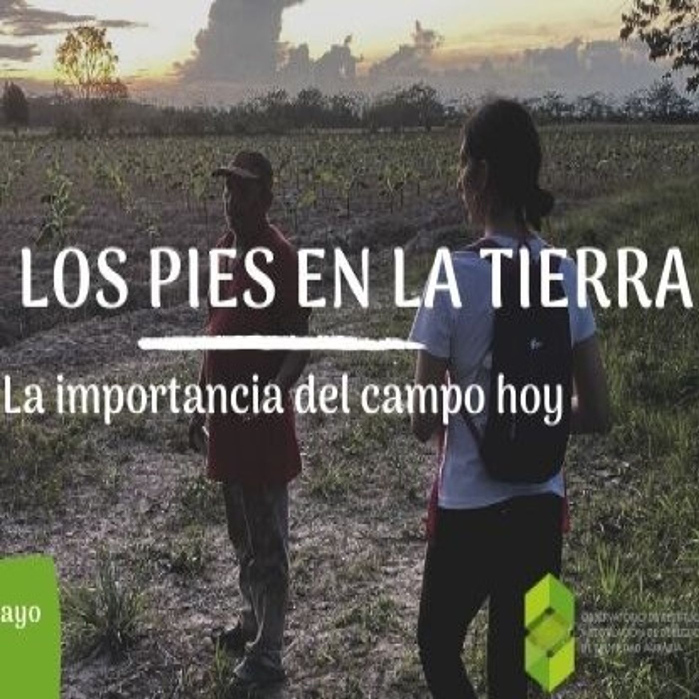 Con los pies en la tierra