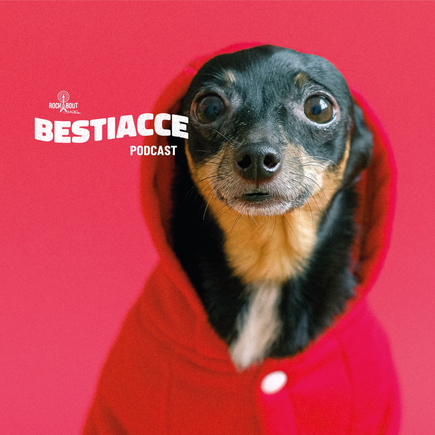 BESTIACCE