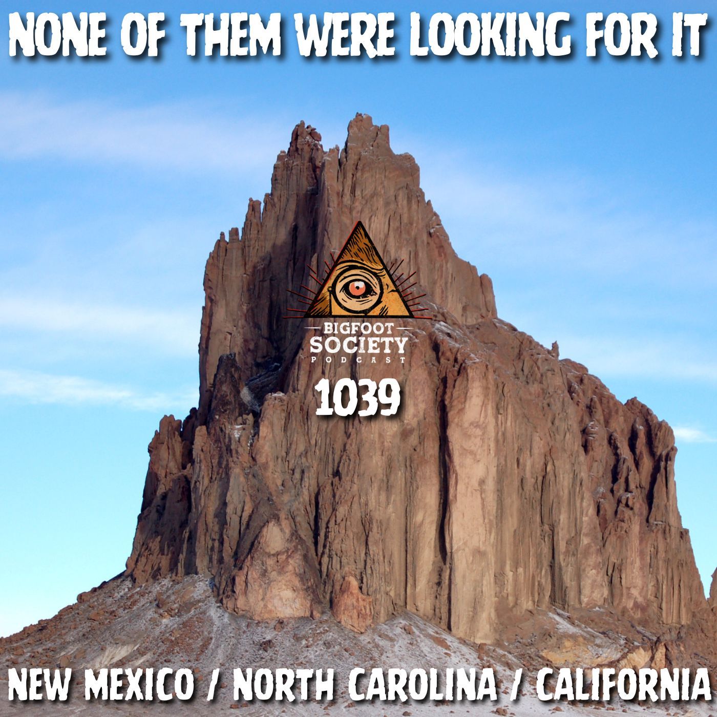 It Was 15 Feet Away… and Just Stood There