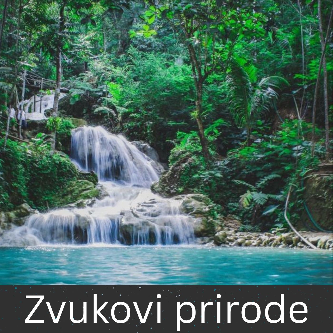 Zvukovi prirode
