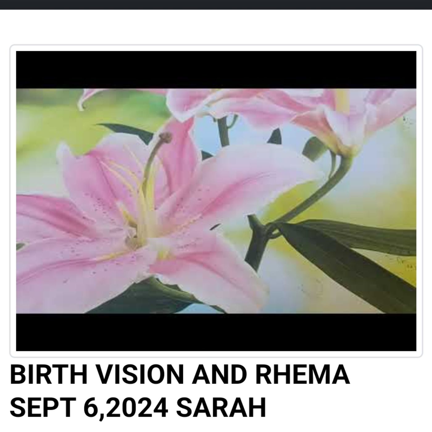 BIRTH VISION AND RHEMA SEPT 6,2024 SARAH episode artwork