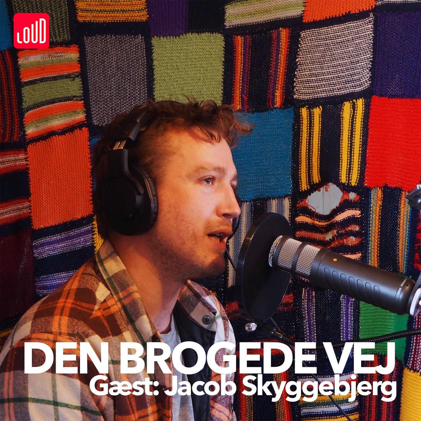 Den Brogede Vej