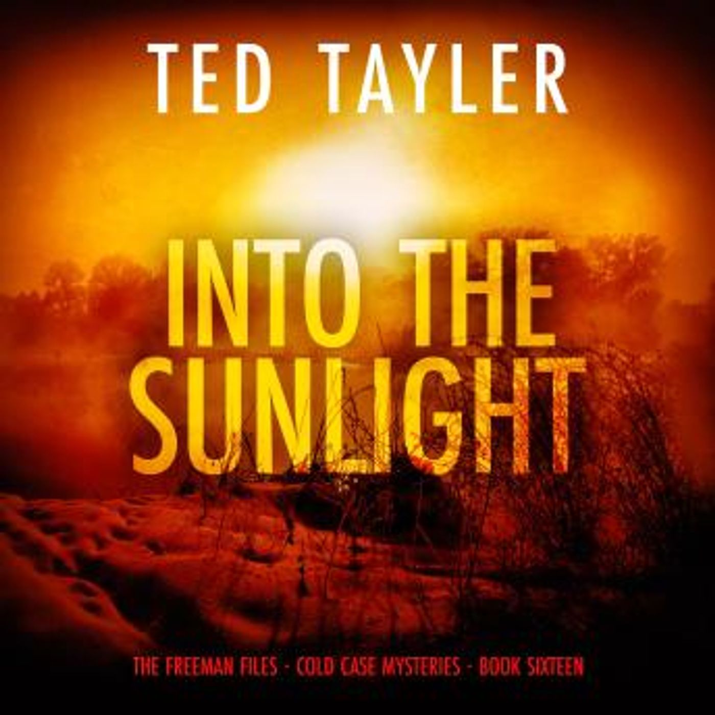 Unlock Top Full Audiobooks in Mystery, Thriller & Horror, Police & Detective