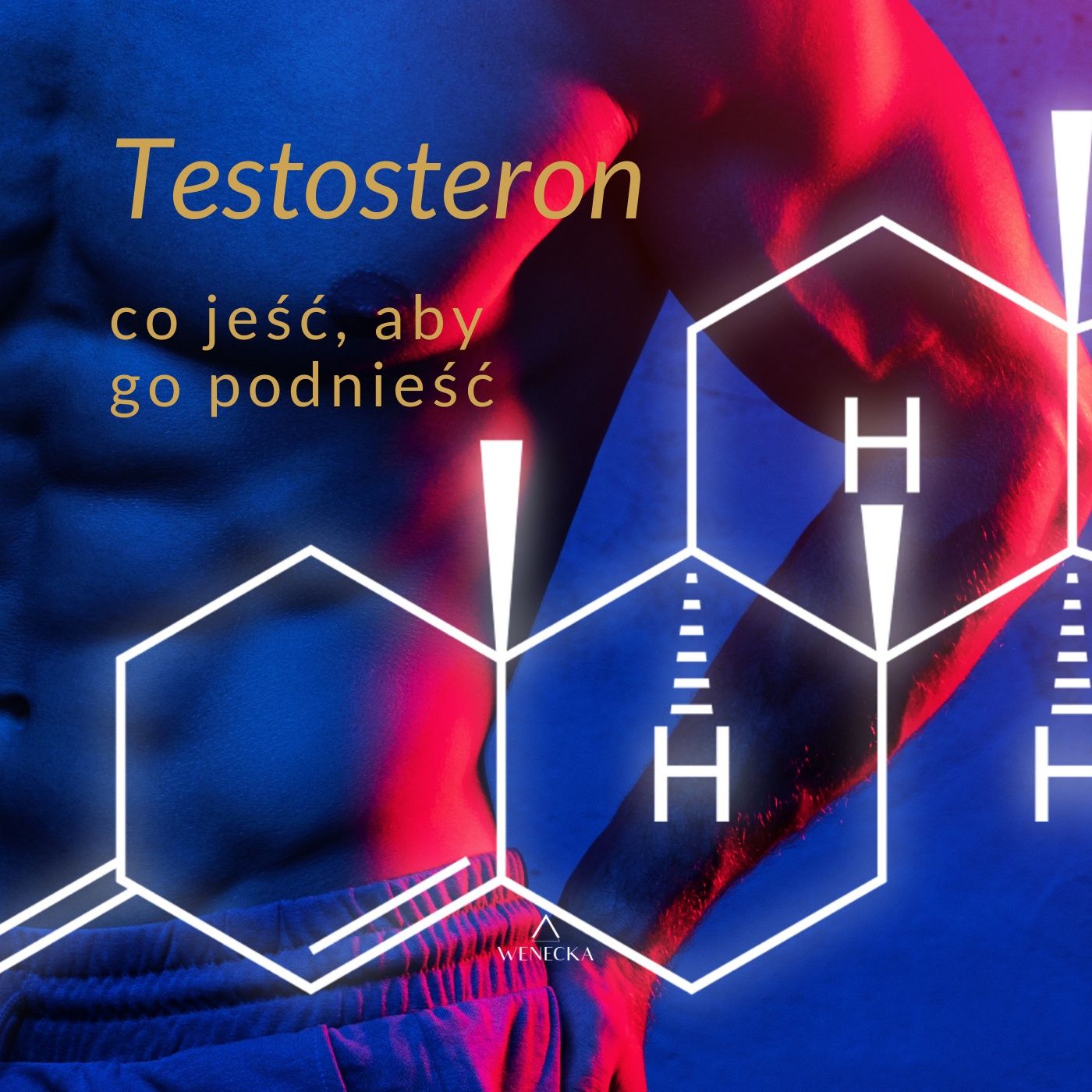 52. Co jeść, aby podnieść testosteron? | Wąsopad | Trenuj Lepiej Podcast
