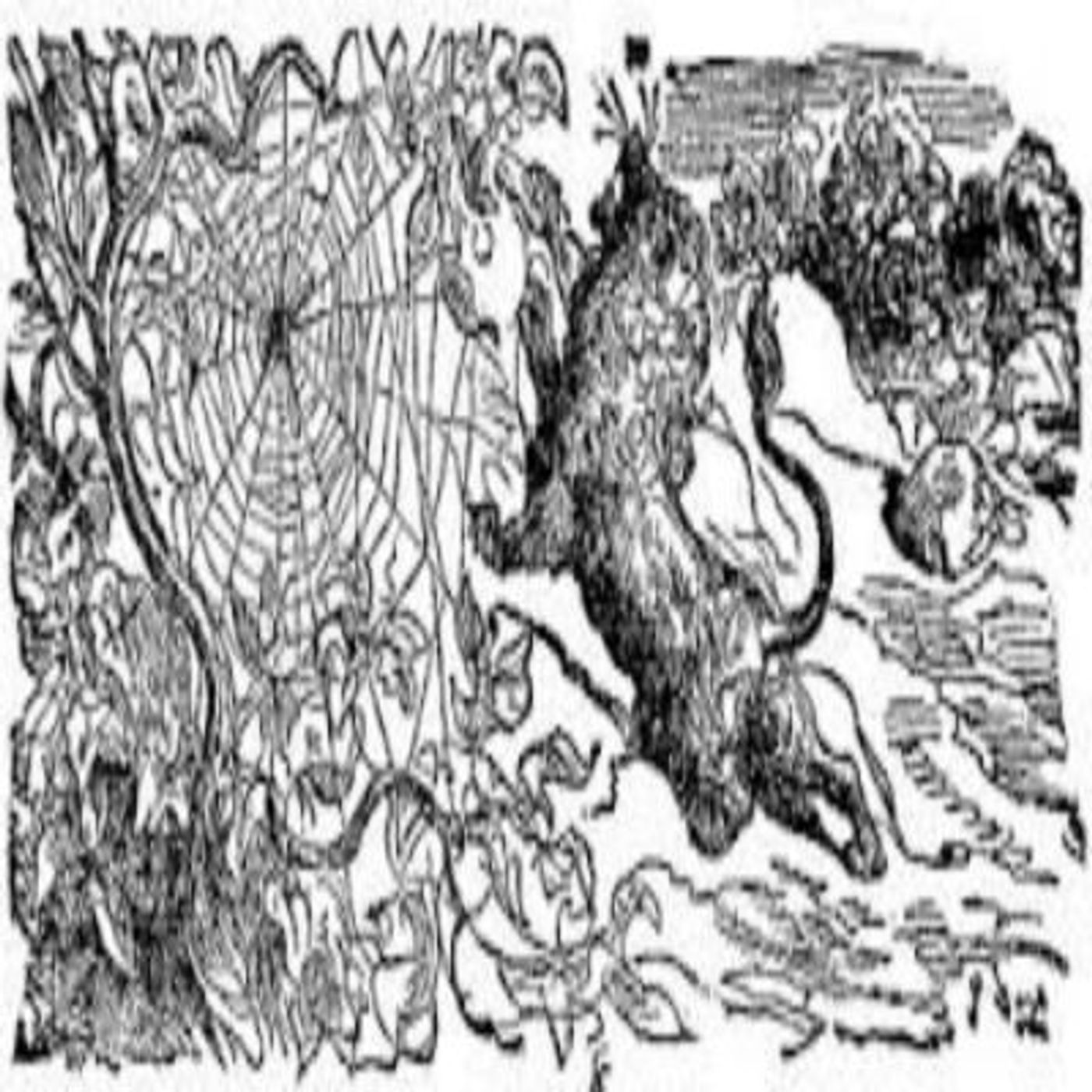FFGF- The Gnat & The Lion