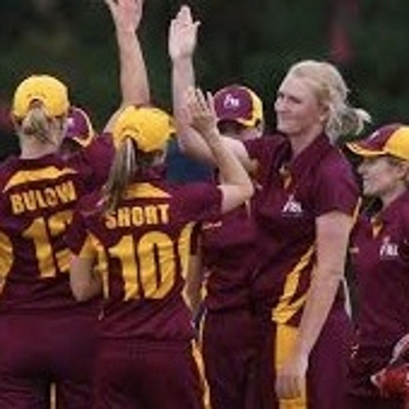 Down The Wicket