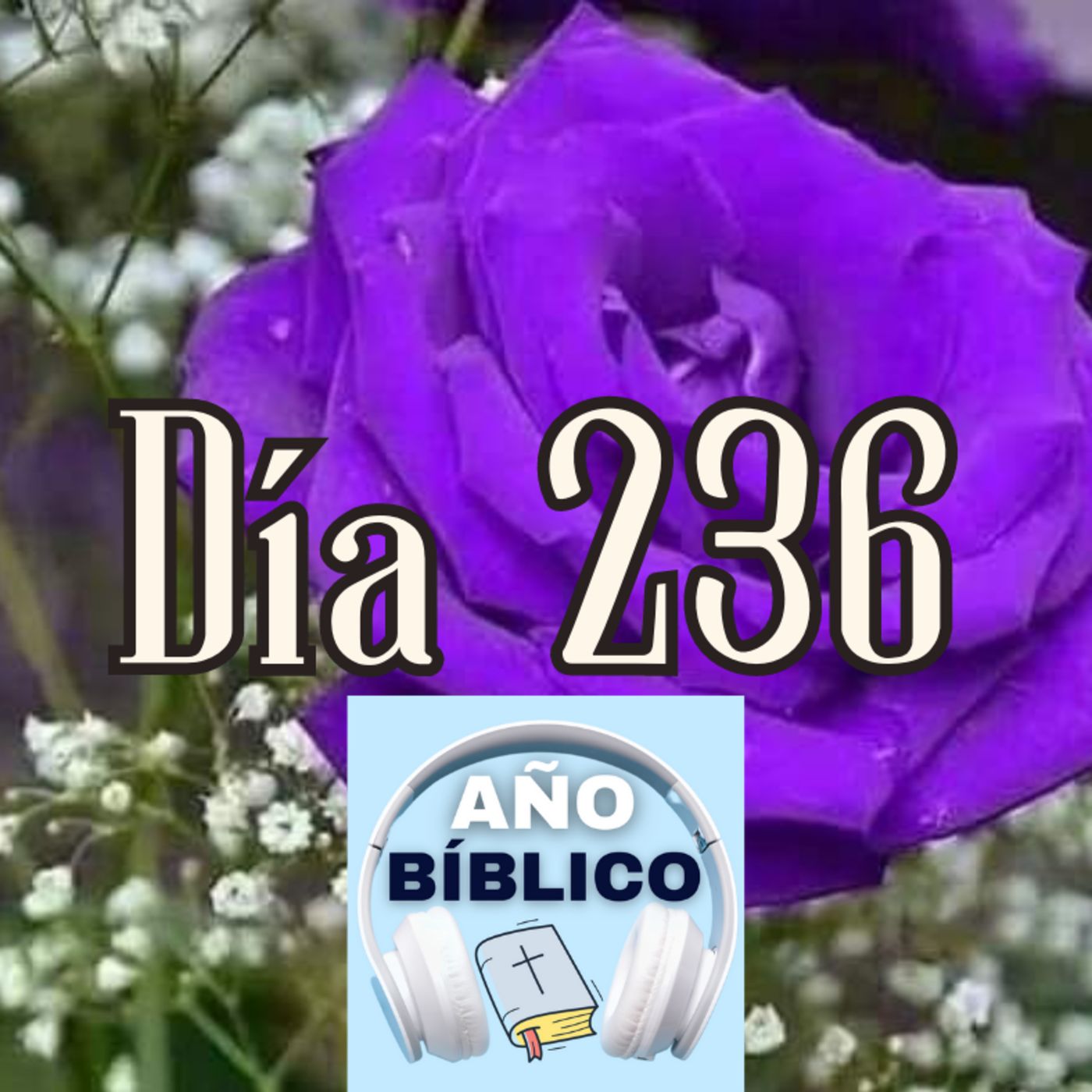 Día 236 - Salmo 97:7-12, Proverbios 17-19 y 1 Corintios 15:12-34 episode artwork