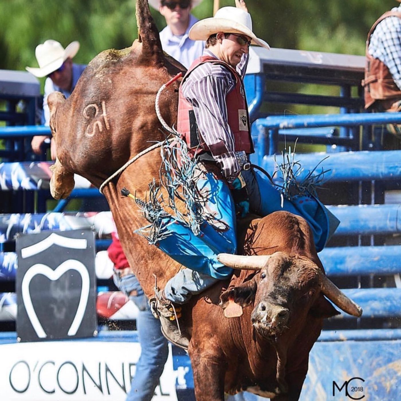 Episode 9 - Roscoe Jarboe - PRCA Bullrider - 3x NFR Qualifier