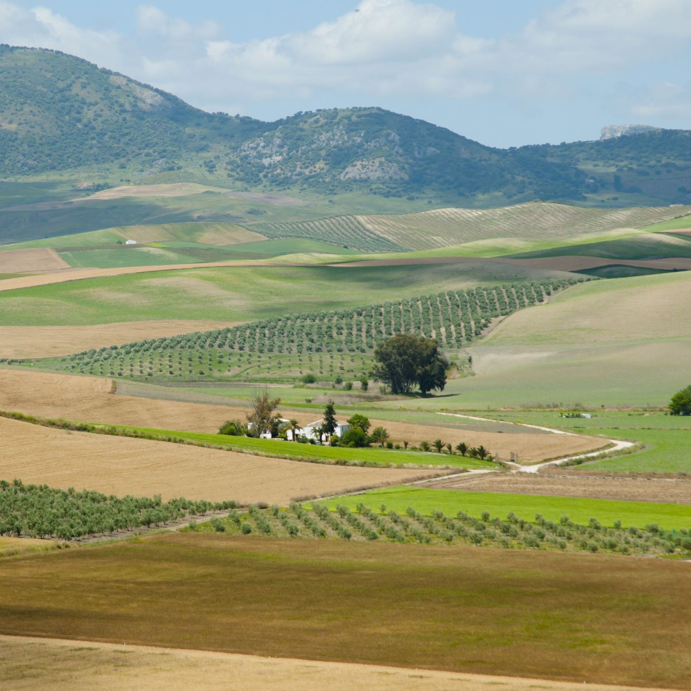 Portada de La granja