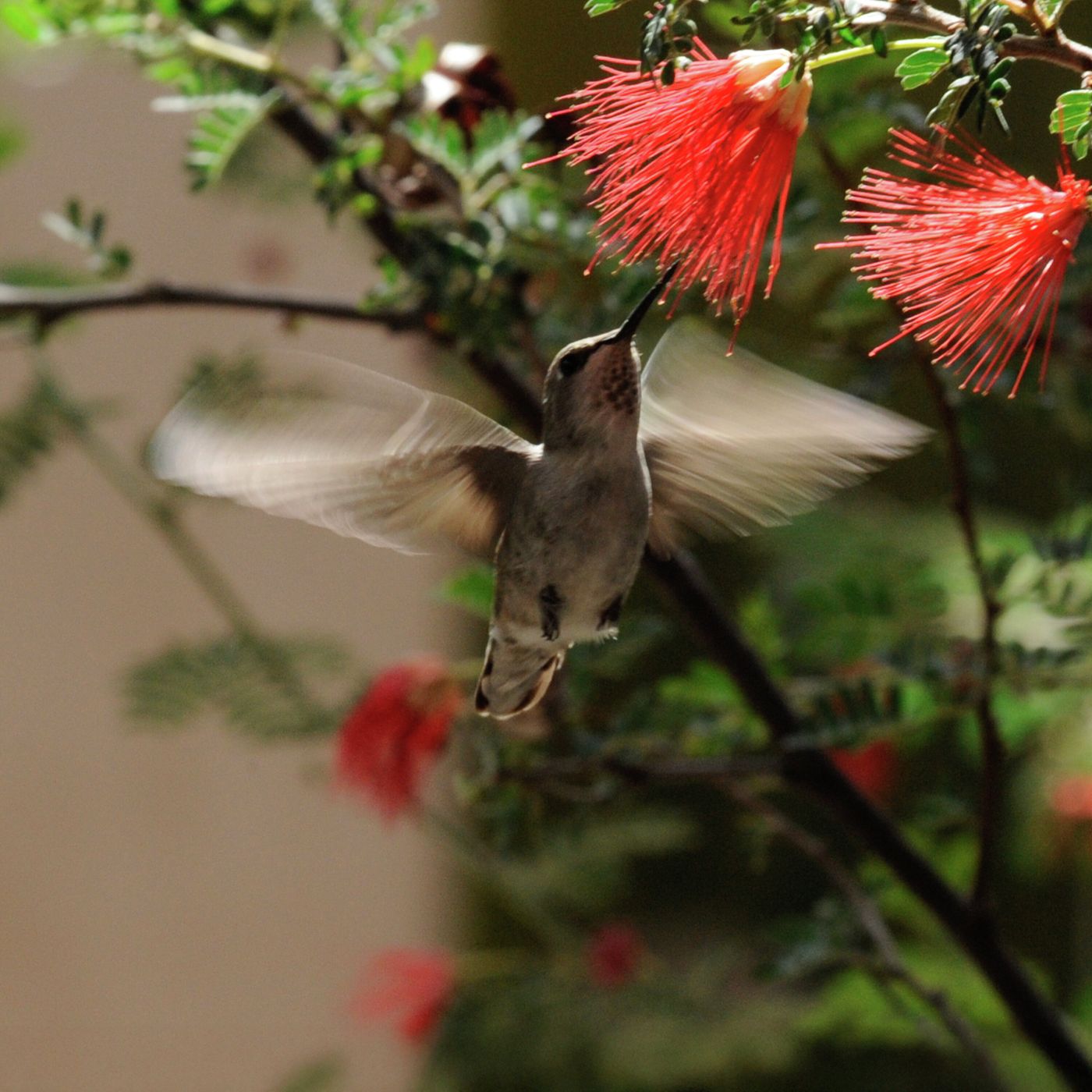 Cómo recordar la bondad de Dios Cómo recordar la bondad de Dios